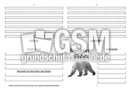 Eisbär-Faltbuch-vierseitig-8.pdf